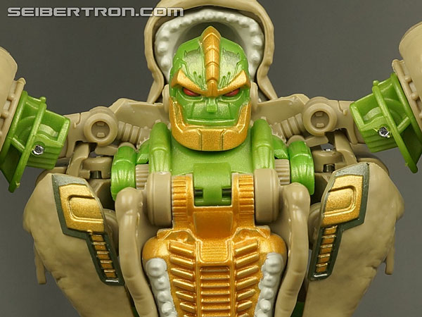 Rhinox