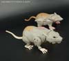 Generations Rattrap - Image #66 of 180