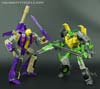 Generations Springer - Image #195 of 219