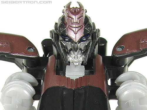 Elita-1
