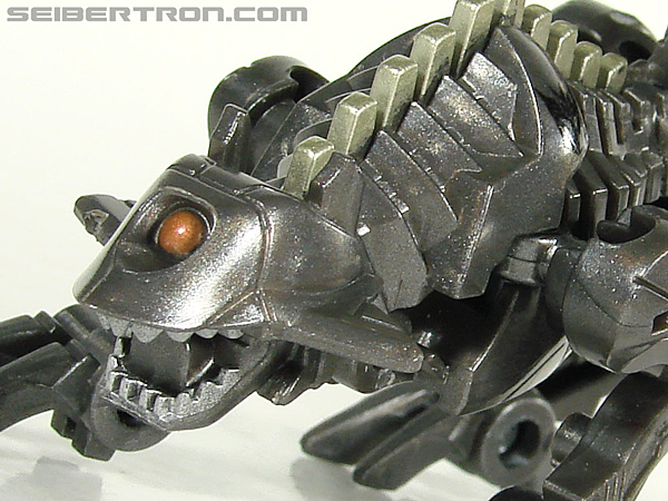 Transformers Hunt For The Decepticons Ravage (Image #75 of 120)