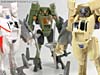Hunt For The Decepticons Duststorm - Image #80 of 84