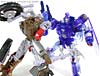 Transformers United Scourge (e-Hobby) - Image #155 of 163