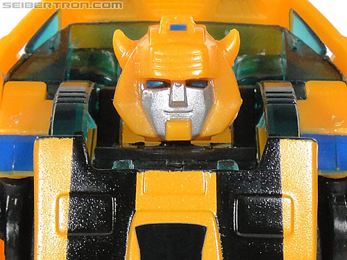 Bumblebee