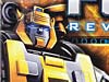 Reveal The Shield Bumblebee - Image #4 of 141