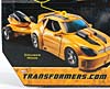 Reveal The Shield Bumblebee - Image #10 of 141