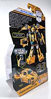 Reveal The Shield Bumblebee - Image #11 of 141