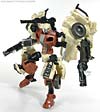 Reveal The Shield Fallback - Image #96 of 126