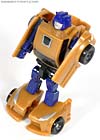 Reveal The Shield Gold Bumblebee - Image #57 of 100