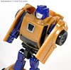 Reveal The Shield Gold Bumblebee - Image #58 of 100