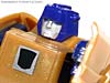 Reveal The Shield Gold Bumblebee - Image #68 of 100