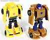 Reveal The Shield Gold Bumblebee - Image #82 of 100