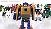 Reveal The Shield Gold Bumblebee - Image #90 of 100