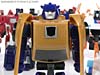Reveal The Shield Gold Bumblebee - Image #91 of 100