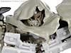 Dark of the Moon Megatron - Image #109 of 227