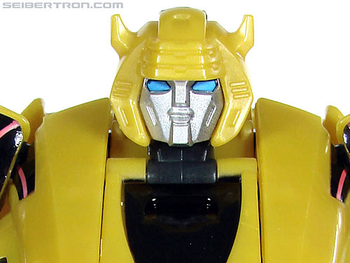 Cybertronian Bumblebee