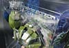 Transformers Prime: First Edition Bulkhead - Image #17 of 173