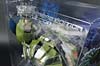 Transformers Prime: First Edition Bulkhead - Image #18 of 173