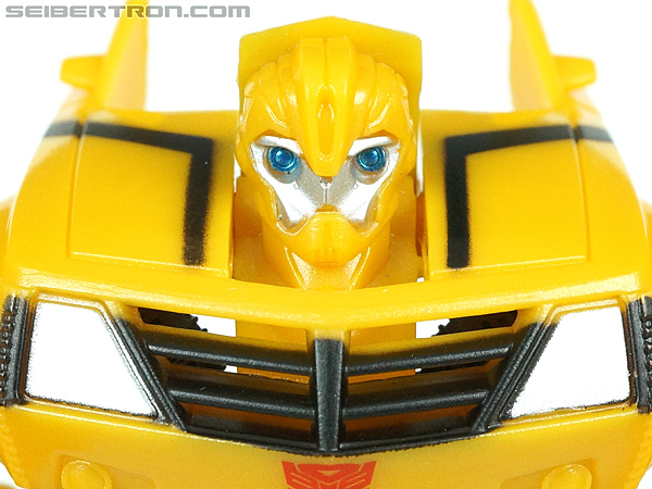 Bumblebee