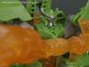 Transformers Prime: Cyberverse Skyquake - Image #108 of 127
