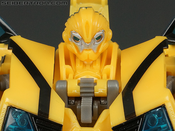Bumblebee