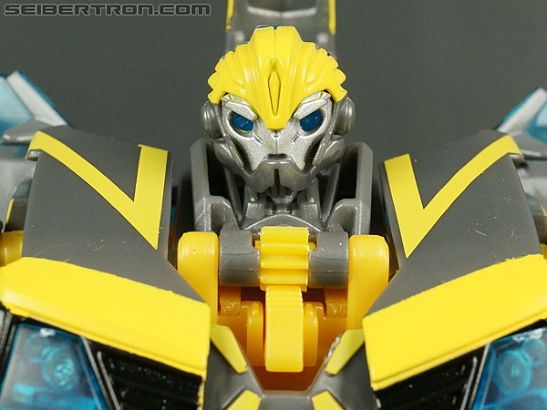 Shadow Strike Bumblebee