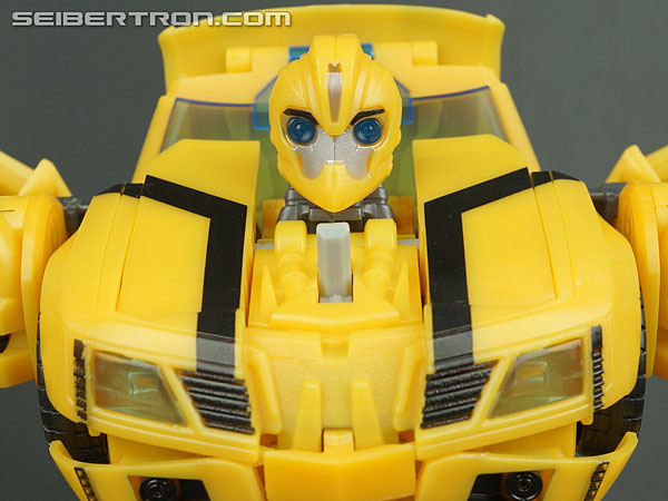 Bumblebee