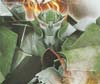 Transformers Prime: Robots In Disguise Skyquake - Image #17 of 173