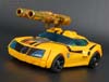 Arms Micron Bumblebee - Image #80 of 202