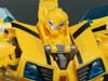 Arms Micron Bumblebee - Image #139 of 202