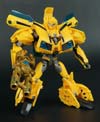 Arms Micron Bumblebee - Image #150 of 202