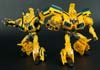 Arms Micron Bumblebee - Image #182 of 202