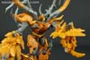 Arms Micron Gaia Unicron - Image #96 of 141