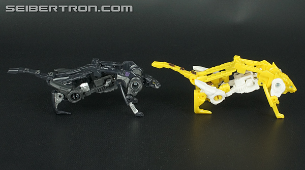 Transformers Fall of Cybertron Ravage (Image #50 of 66)