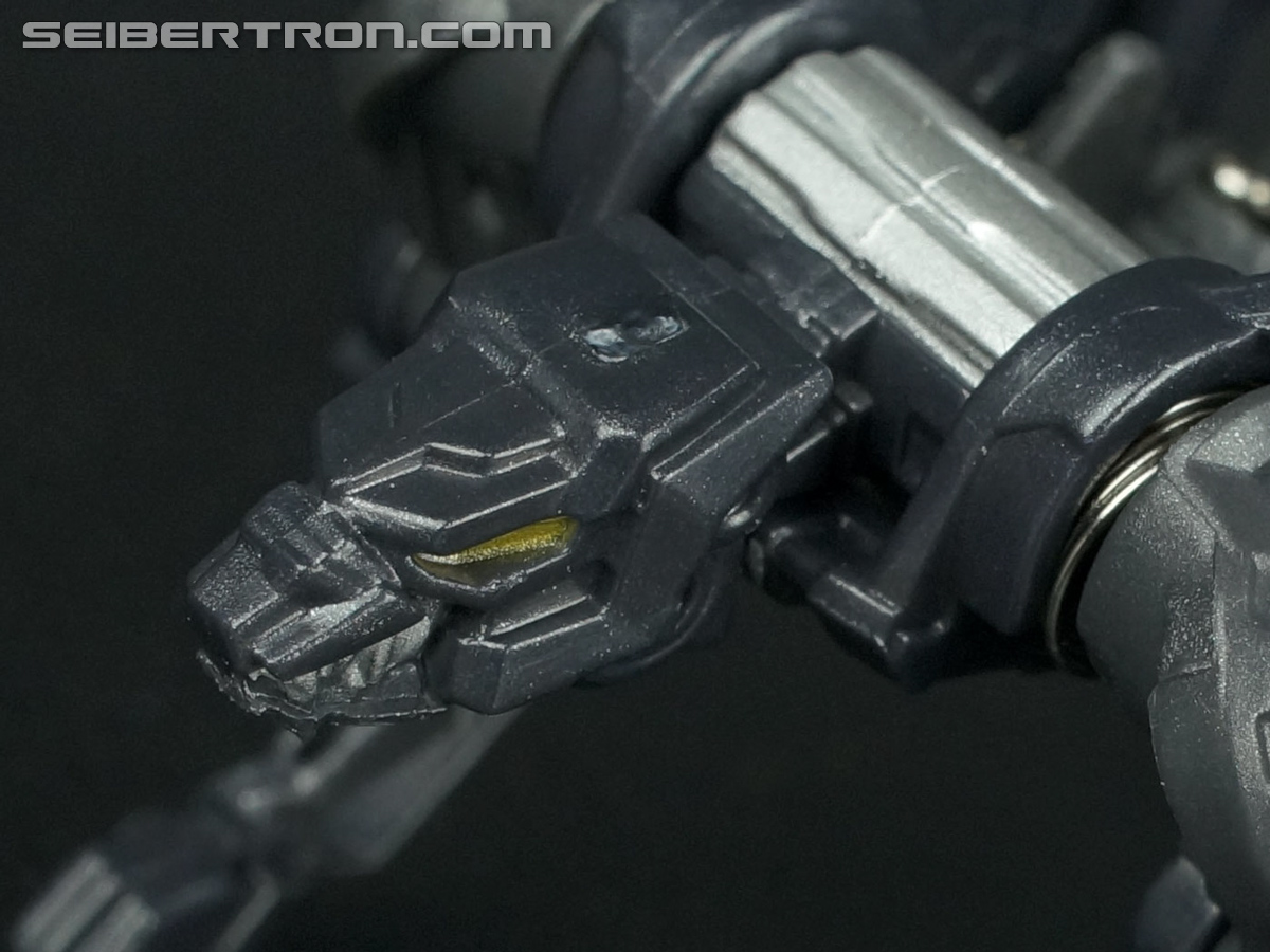 Transformers Fall of Cybertron Ravage (Image #43 of 66)