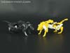 Fall of Cybertron Ravage - Image #57 of 66