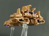 Fall of Cybertron Blast Off - Image #21 of 89