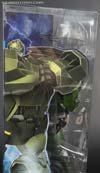 First Edition Bulkhead - Image #7 of 157