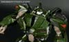 First Edition Bulkhead - Image #79 of 157