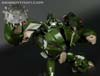 First Edition Bulkhead - Image #105 of 157