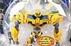 First Edition Bumblebee - Image #2 of 120
