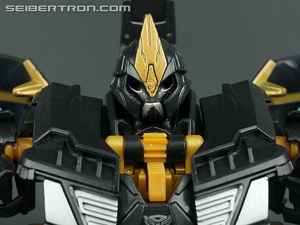 Night Shadow Bumblebee