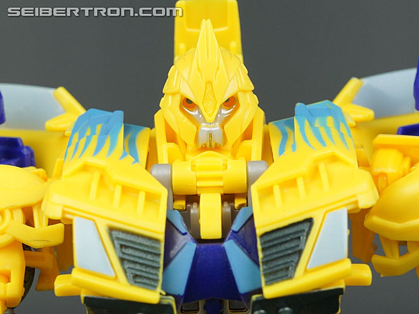 Nova Blast Bumblebee