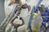 Transformers Prime Beast Hunters Soundwave - Image #4 of 126