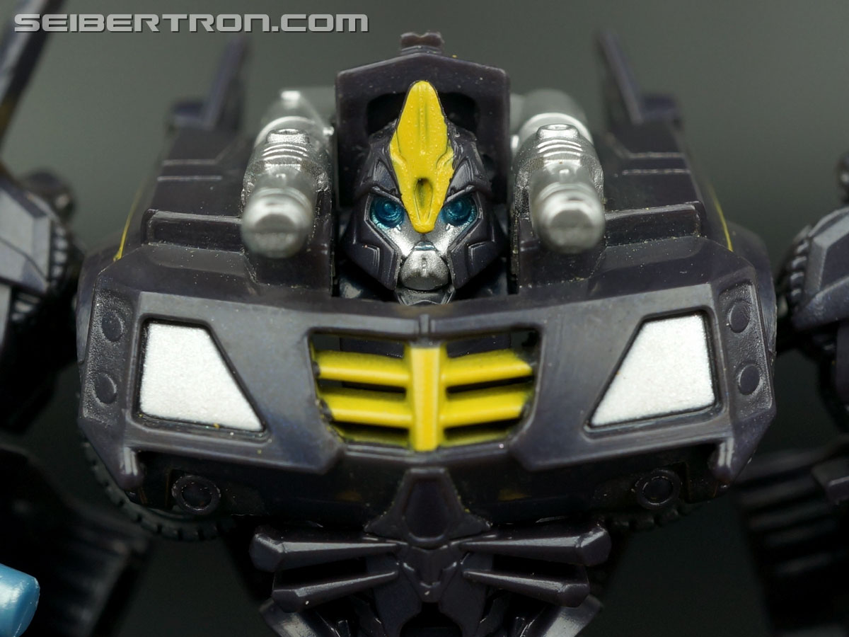 Night Shadow Bumblebee