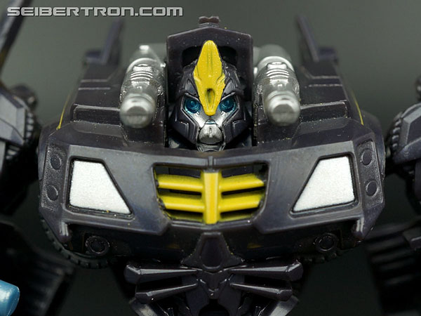 Night Shadow Bumblebee