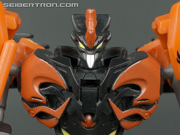 Predaking
