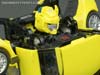 Alternity Bumble (Champion Yellow) (Bumblebee (Champion Yellow))  - Image #59 of 151