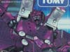 Alternity Skywarp (Witch Purple Pearl) - Image #4 of 121