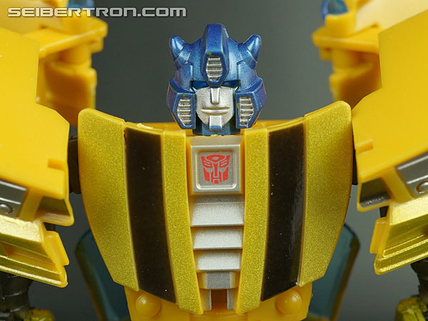 Bumblebee Goldbug